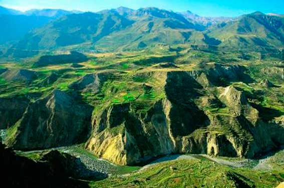 Colca Canyon - Arequipa