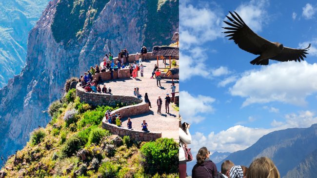 Cruz del Condor Viewpoint